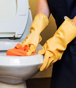 Detail Cleaning